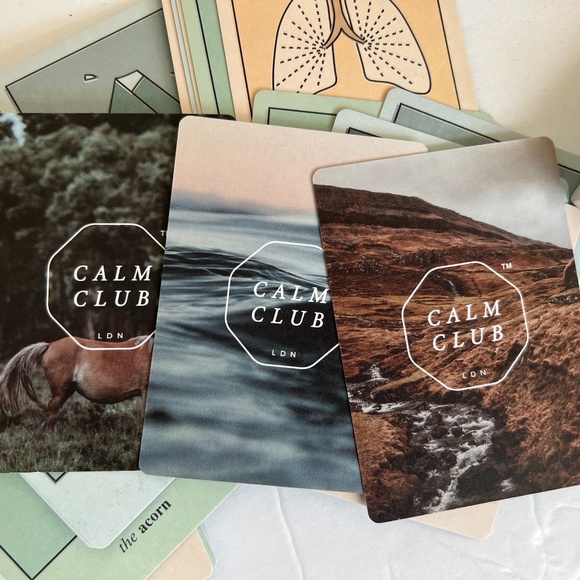 The Oracle Calm Club 42 Deck Of Cards Self Reflection - Picture 8 of 8